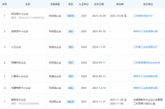 深耕工业窑炉治理 领跑环保节能赛道——南京中电环保科技有限公司的技术突围之路